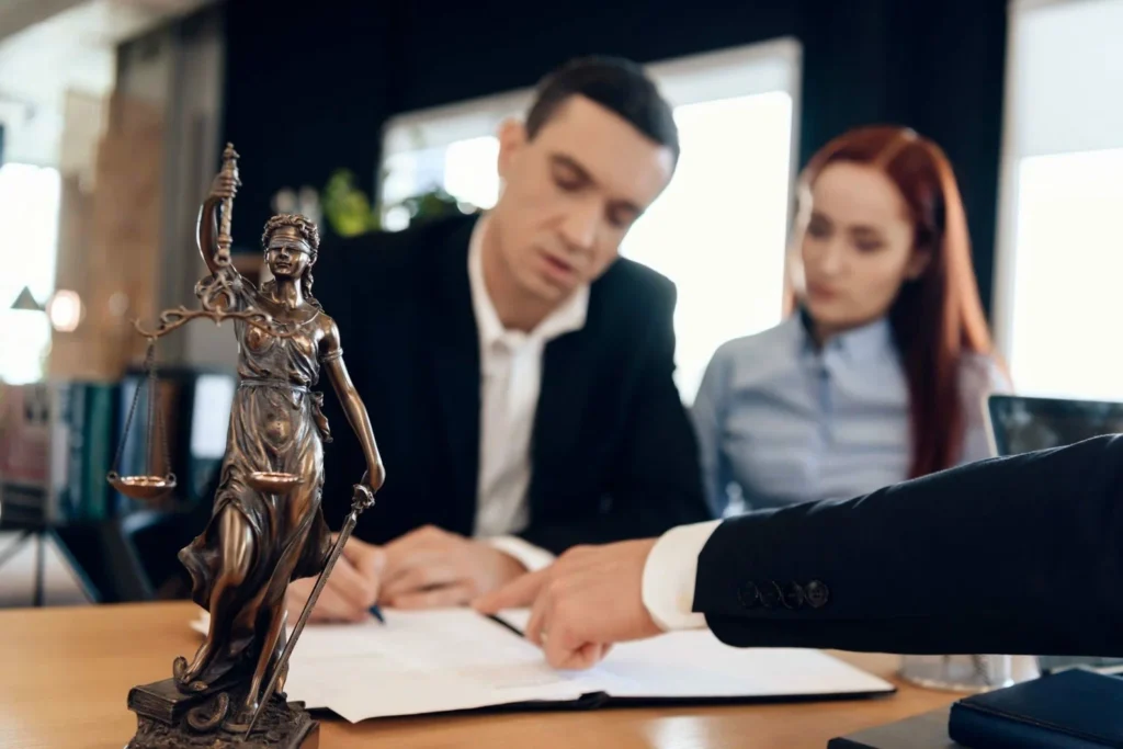 Family Lawyer Services